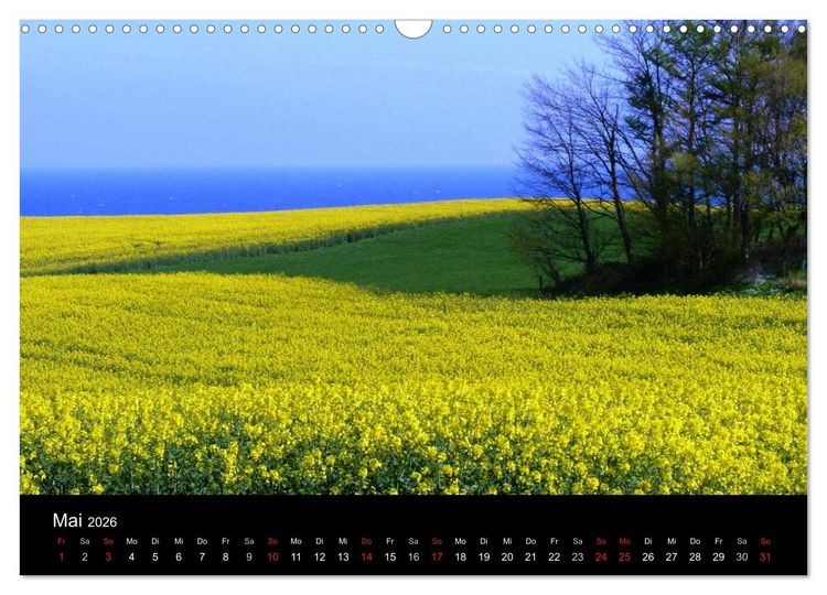 Produktbild: Die Ostsee - Ein Jahr am Meer (Wandkalender 2026 DIN A3 quer), CALVENDO Monatskalender