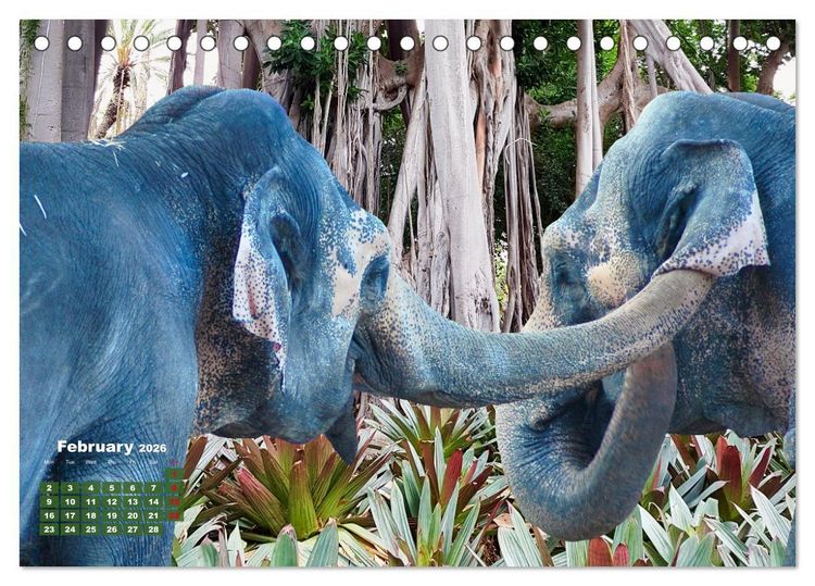 Produktbild: Gentle giants in the jungle (Desk Calendar 2026 DIN A5 landscape), CALVENDO 12 Month DeskCalendar
