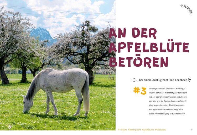Produktbild: 52 kleine & gro&szlig;e Eskapaden in den Bayerischen Alpen