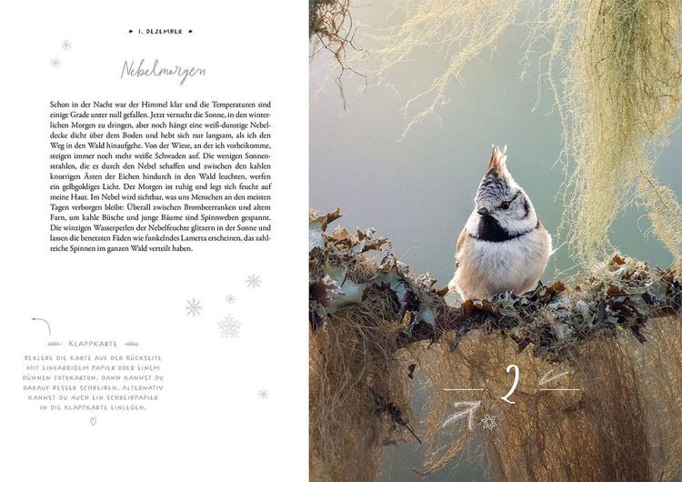 Produktbild: Winter Moments in Nature &ndash; der Adventskalender
