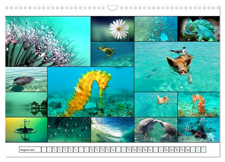 Produktbild: Colour Symphonies of the Earth (Wall Calendar 2026 DIN A3 landscape), CALVENDO 12 Month Wall Calendar