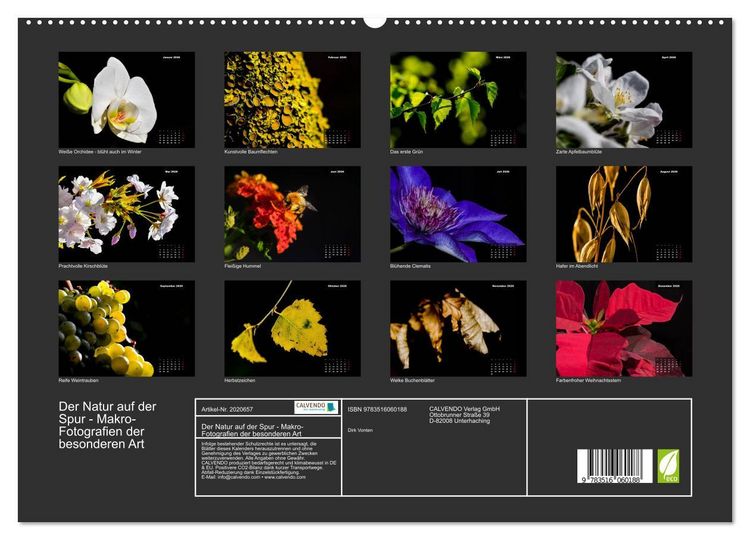 Produktbild: Der Natur auf der Spur - Makro-Fotografien der besonderen Art (hochwertiger Premium Wandkalender 2026 DIN A2 quer), Kunstdruck in Hochglanz