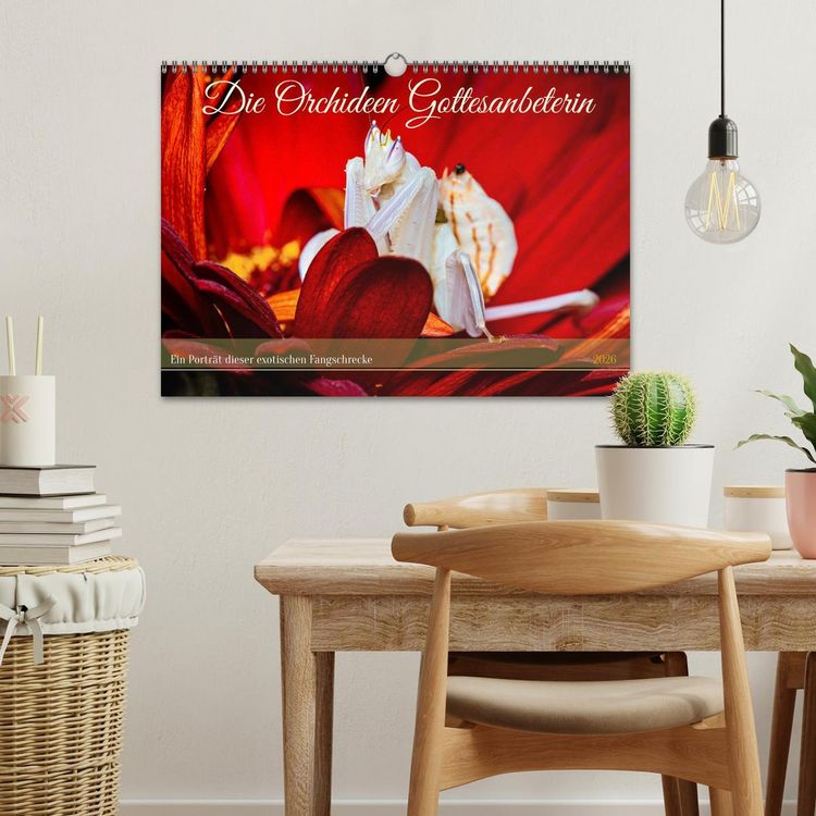 Produktbild: Die Orchideen Gottesanbeterin (Wandkalender 2026 DIN A3 quer), CALVENDO Monatskalender