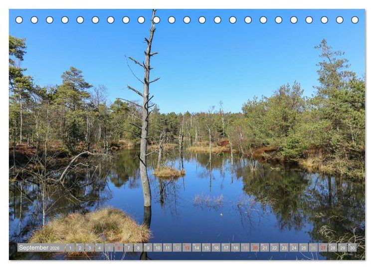 Produktbild: Pietzmoor - ein Hochmoor in der L&uuml;neburger Heide (Tischkalender 2026 DIN A5 quer), CALVENDO Monatskalender