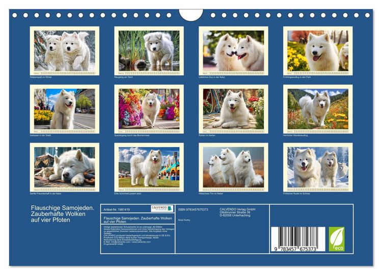 Produktbild: Flauschige Samojeden. Zauberhafte Wolken auf vier Pfoten (Wandkalender 2026 DIN A4 quer), CALVENDO Monatskalender