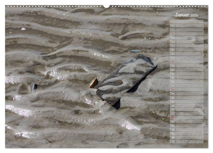 Produktbild: Strandspaziergang / Geburtstagskalender (hochwertiger Premium Wandkalender 2026 DIN A2 quer), Kunstdruck in Hochglanz