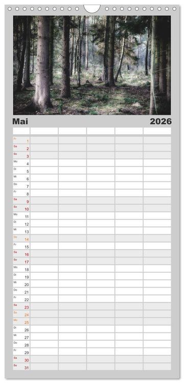 Produktbild: Familienplaner 2026 - Mystische W&auml;lder mit 5 Spalten (Wandkalender, 21 x 45 cm) CALVENDO