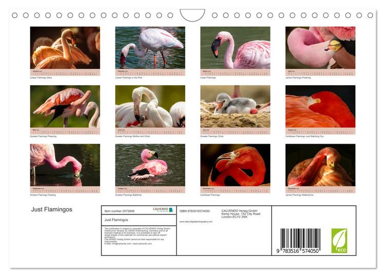 Produktbild: Just Flamingos (Wall Calendar 2026 DIN A4 landscape), CALVENDO 12 Month Wall Calendar
