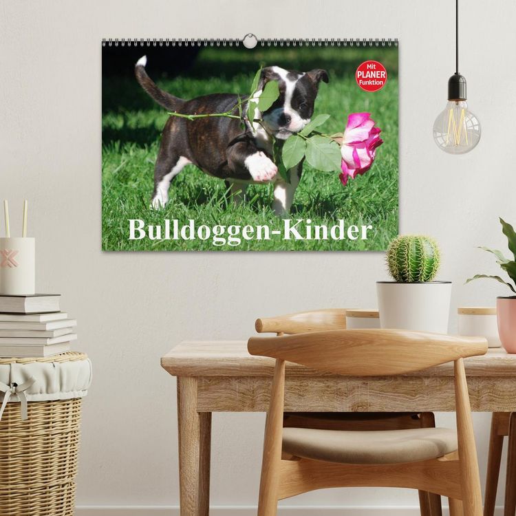 Produktbild: Bulldoggen-Kinder (Wandkalender 2026 DIN A3 quer), CALVENDO Monatskalender