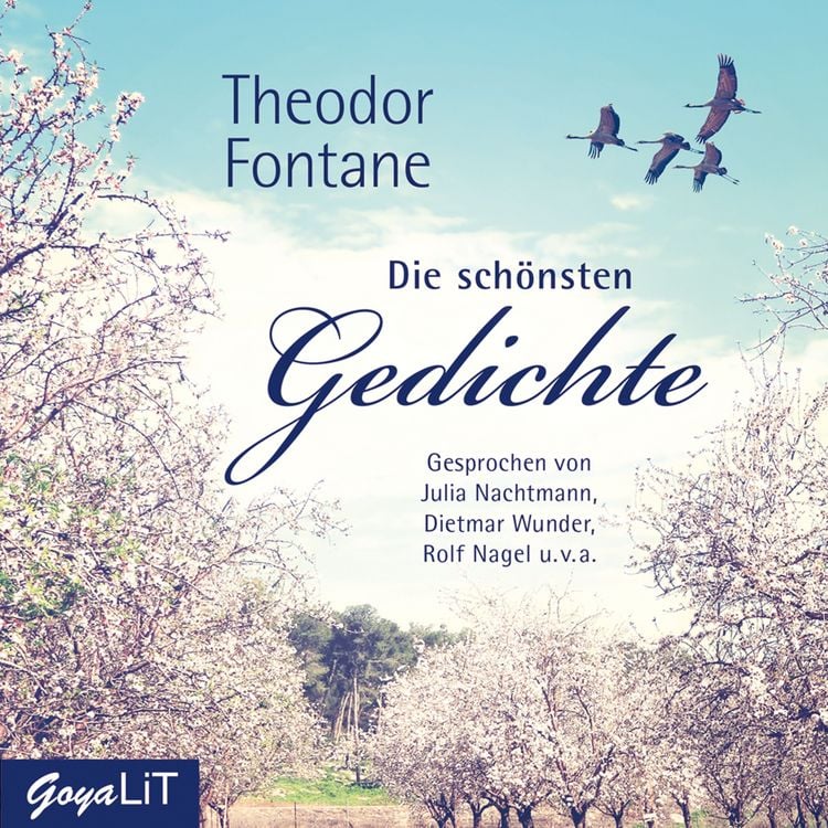 Produktbild: Theodor Fontane. Die sch&ouml;nsten Gedichte