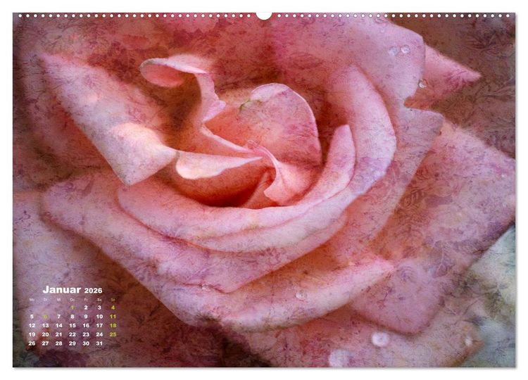 Produktbild: Rosen Romantik (Wandkalender 2026 DIN A2 quer), CALVENDO Monatskalender