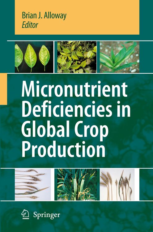 Produktbild: Micronutrient Deficiencies in Global Crop Production