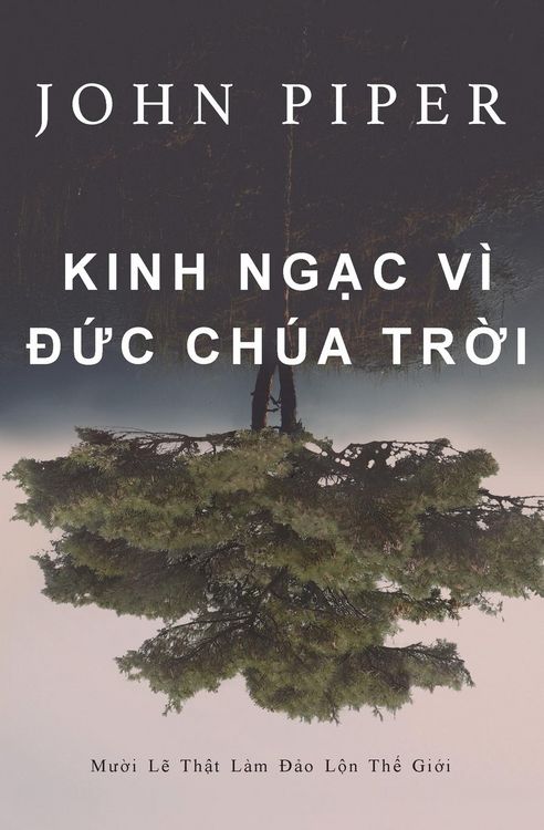 Produktbild: Kinh ng&iquest;c v&igrave; &iquest;&iquest;c Ch&uacute;a Tr&iquest;i