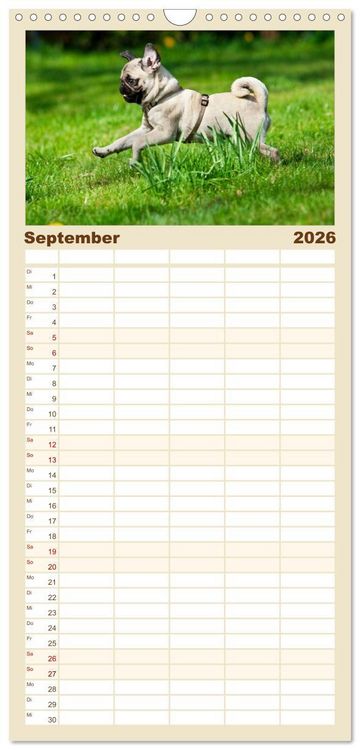 Produktbild: Familienplaner 2026 - Mops mit 5 Spalten (Wandkalender, 21 x 45 cm) CALVENDO