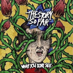 Produktbild: What You Dont See