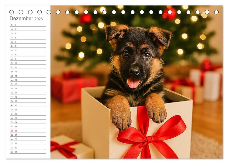 Produktbild: Sch&auml;ferhundliebe - Deine t&auml;gliche Dosis Welpenfreude &ndash; ganz ohne Gassi. (Tischkalender 2026 DIN A5 quer), CALVENDO Monatskalender
