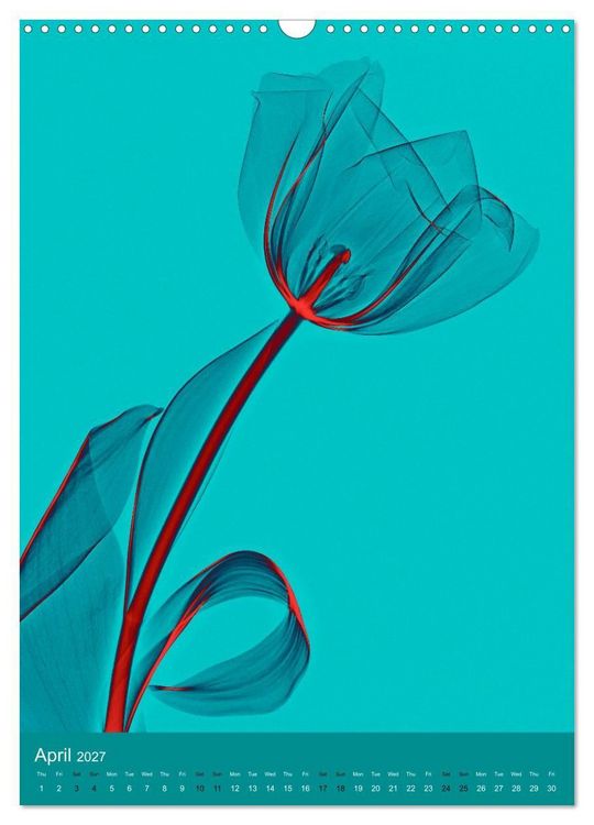 Produktbild: Blossoms between light and colour (Wall Calendar 2027 DIN A3 portrait), CALVENDO 12 Month Wall Calendar