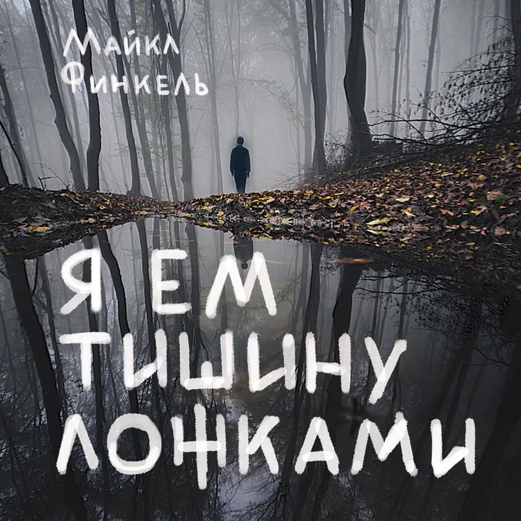 Produktbild: The Stranger in the Woods
