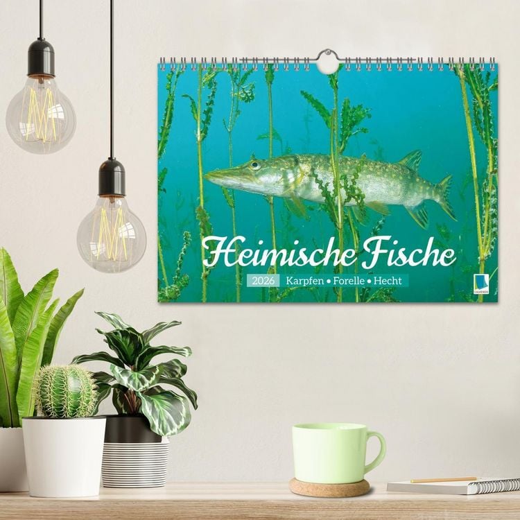 Produktbild: Heimische Fische: Karpfen, Forelle, Hecht (Wandkalender 2026 DIN A4 quer), CALVENDO Monatskalender