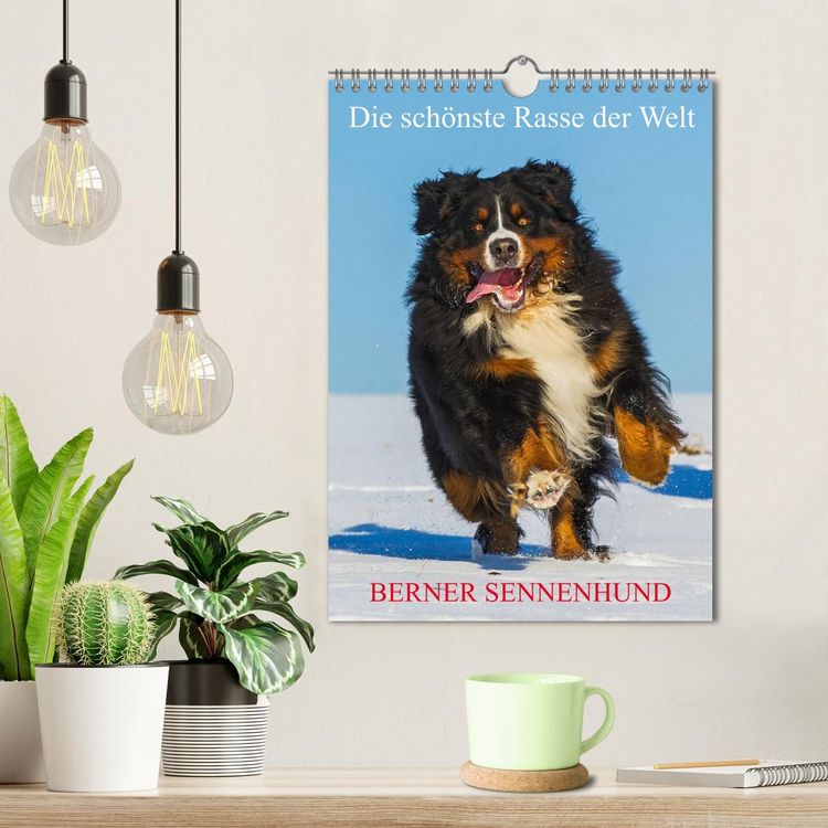 Produktbild: Die sch&ouml;nste Rasse der Welt - Berner Sennenhund (Wandkalender 2026 DIN A4 hoch), CALVENDO Monatskalender