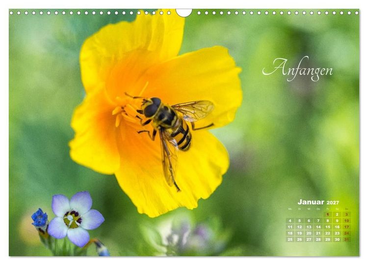 Produktbild: Bl&uuml;ten,Fl&uuml;gel und Gedanken &ndash; Ein Jahr in Bildern und Worten (Wandkalender 2027 DIN A3 quer), CALVENDO Monatskalender