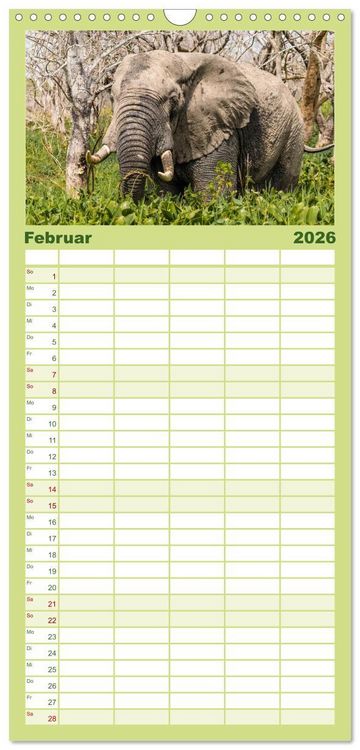 Produktbild: Familienplaner 2026 - Uganda - ein Land der Vielfalt mit 5 Spalten (Wandkalender, 21 x 45 cm) CALVENDO