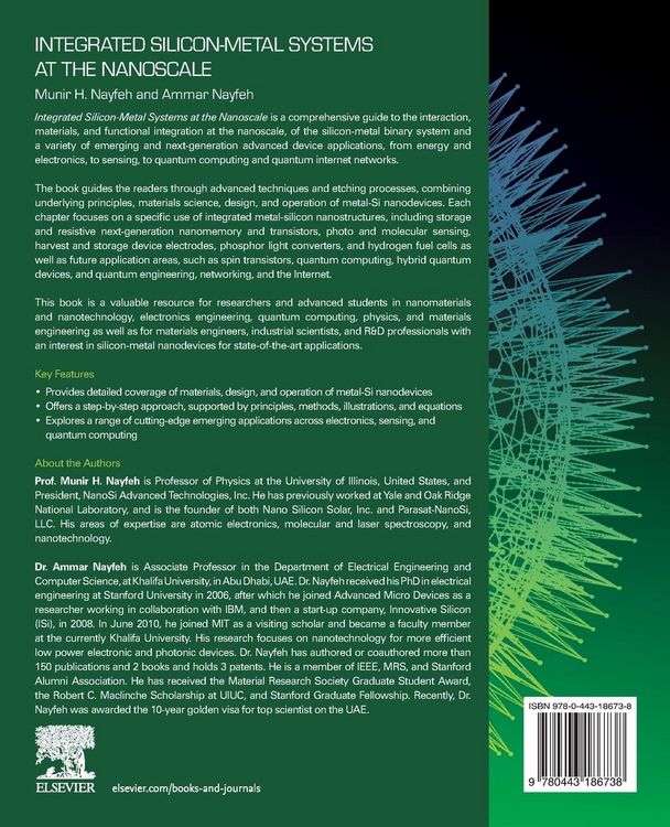 Produktbild: Integrated Silicon-Metal Systems at the Nanoscale