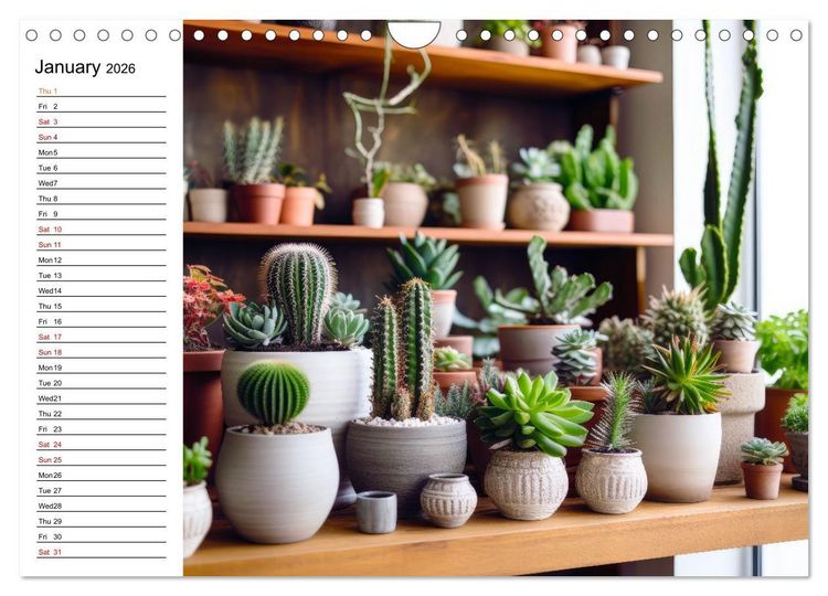 Produktbild: Cacti Wonderland (Wall Calendar 2026 DIN A4 landscape), CALVENDO 12 Month Wall Calendar