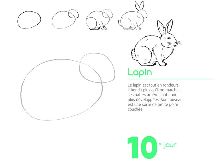 Produktbild: 365 Zeichenmotive f&uuml;r jeden Tag