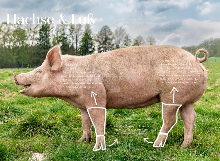 Das ganze Schwein
