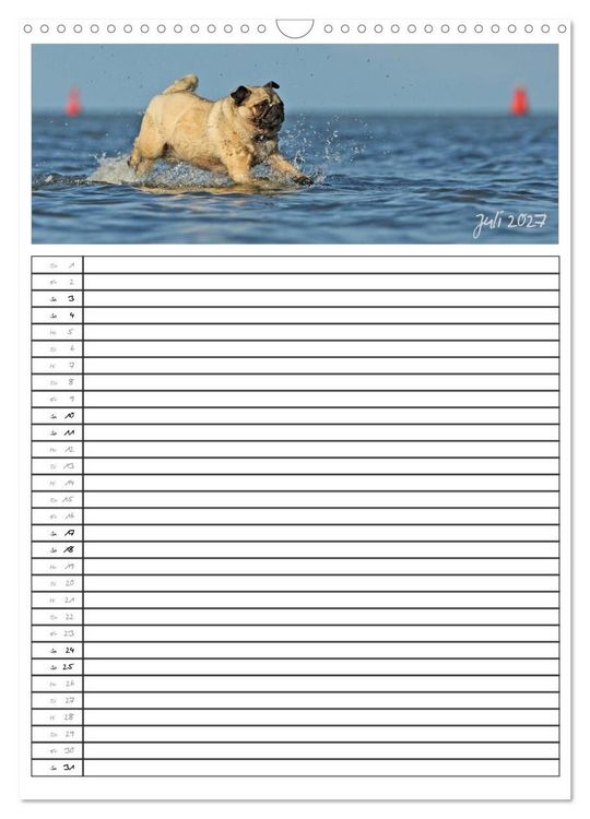 Produktbild: Der mopsige Familienplaner (Wandkalender 2027 DIN A3 hoch), CALVENDO Monatskalender