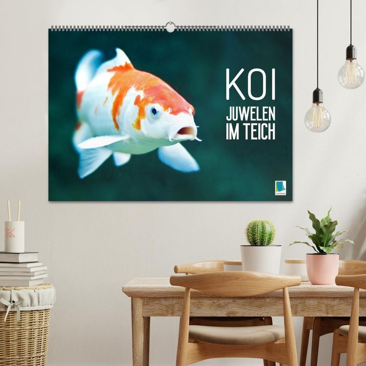 Produktbild: Koi: Juwelen im Teich (Wandkalender 2027 DIN A2 quer), CALVENDO Monatskalender