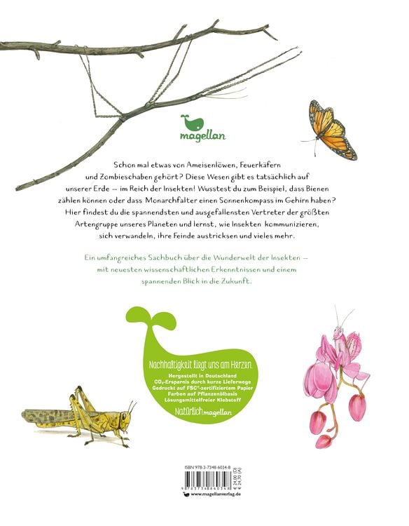 Produktbild: Insekten - Kleine Lebewesen, gro&szlig;e Vielfalt