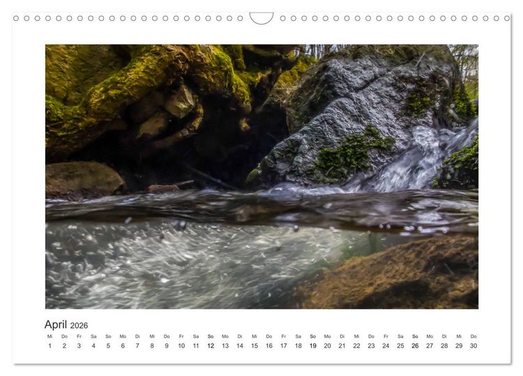 Produktbild: Unter Wasser in B&auml;chen und Fl&uuml;ssen (Wandkalender 2026 DIN A3 quer), CALVENDO Monatskalender