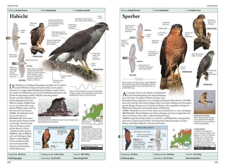 Produktbild: V&ouml;gel in Europa