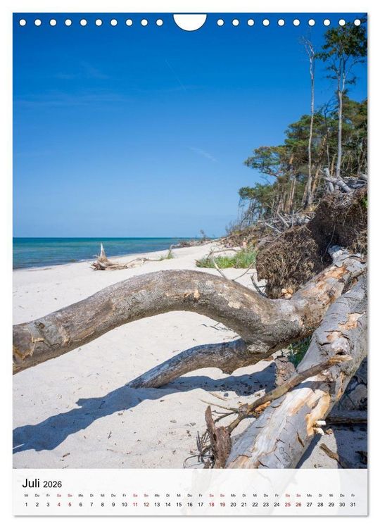 Produktbild: Fischland-Dar&szlig;-Zingst - Im Licht des Nordens (Wandkalender 2026 DIN A4 hoch), CALVENDO Monatskalender