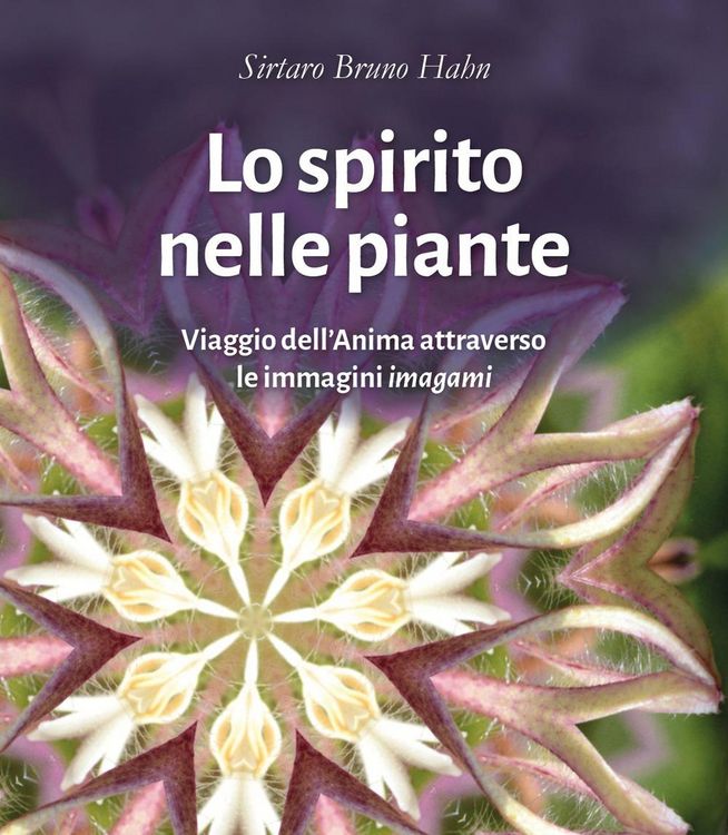 Produktbild: Lo spirito nelle piante. Viaggio dell'anima attraverso le immagini 'imagami'