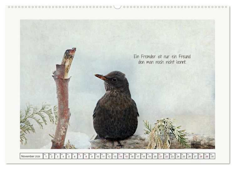 Produktbild: Irische Segensw&uuml;nsche (Wandkalender 2026 DIN A2 quer), CALVENDO Monatskalender