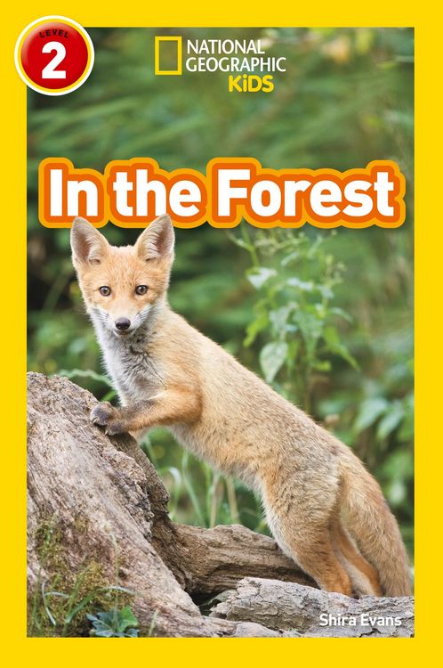 Produktbild: In the Forest