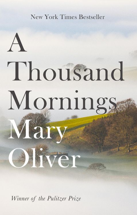 Produktbild: A Thousand Mornings