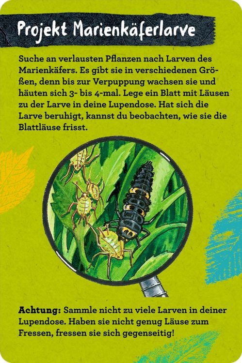 Produktbild: 50 Insekten, Spinnen & Co. - Nature Zoom (Blechdose)