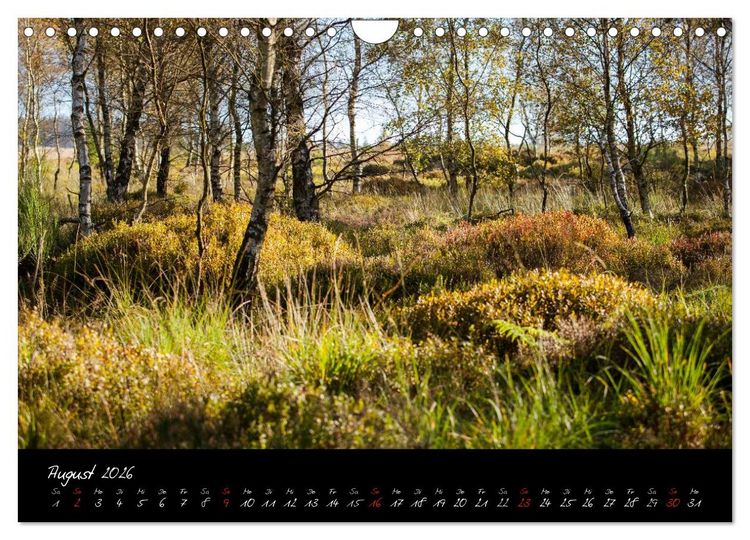 Produktbild: Hochmoor Hohes Venn (Wandkalender 2026 DIN A4 quer), CALVENDO Monatskalender