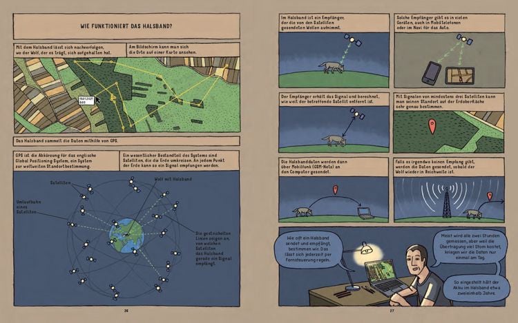Produktbild: W&ouml;lfe - Wahre Geschichten