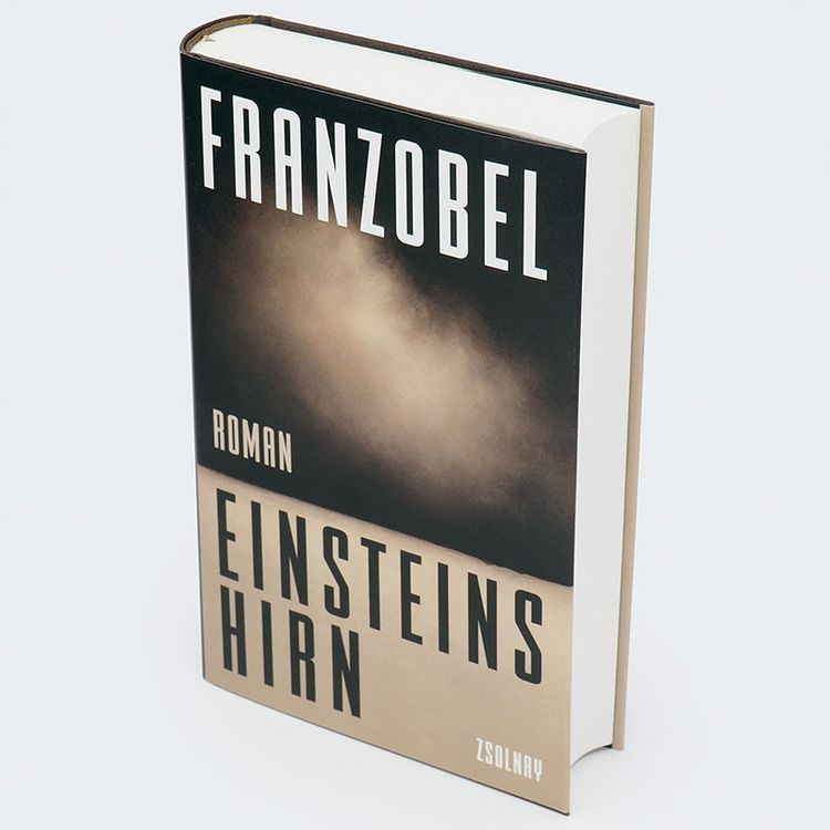 Produktbild: Einsteins Hirn