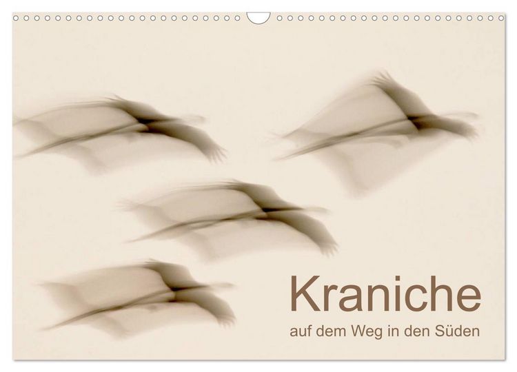 Produktbild: Kraniche auf dem Weg nach S&uuml;den (Wandkalender 2026 DIN A3 quer), CALVENDO Monatskalender