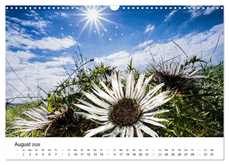 Produktbild: Naturerlebnis im Biosph&auml;renreservat Rh&ouml;n (Wandkalender 2026 DIN A3 quer), CALVENDO Monatskalender
