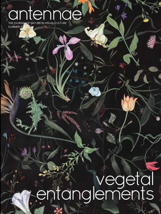 Produktbild: Antennae #51 Vegetal Entanglements #1
