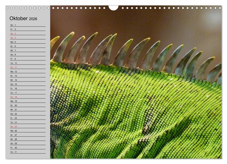 Produktbild: Kaltes Blut. Faszination Reptilien (Wandkalender 2026 DIN A3 quer), CALVENDO Monatskalender