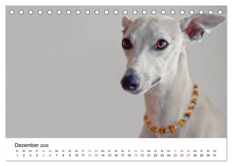 Produktbild: Mein Hundekalender 2026 (Tischkalender 2026 DIN A5 quer), CALVENDO Monatskalender