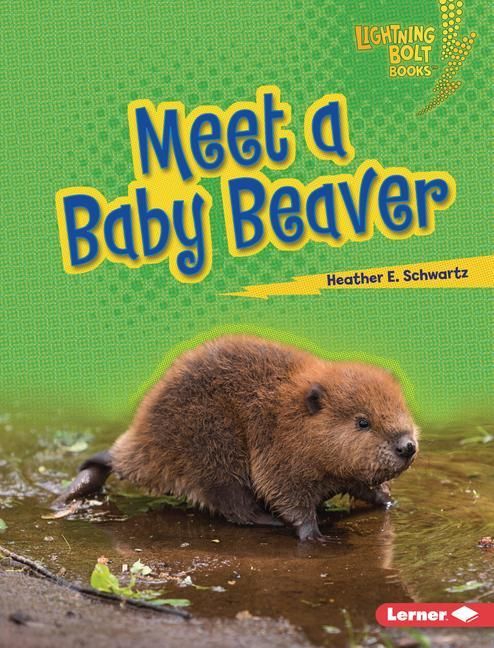 Produktbild: Meet a Baby Beaver
